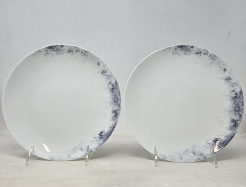Set Of 2 Wedgwood Vera Pointilliste 8 Inch Salad Plates AP44