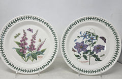 Set Of 2 Portmeirion Botanic Garden Dinner Plates AP18